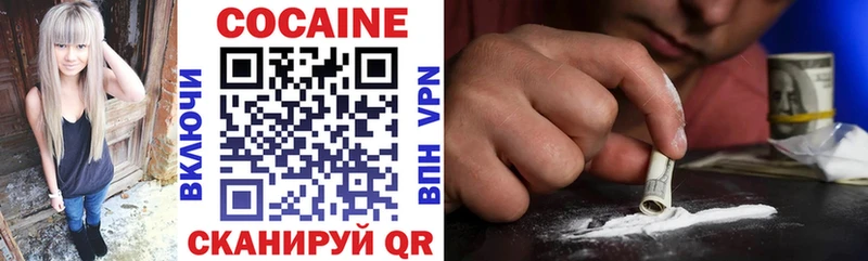 COCAIN Fish Scale  Купить где  Лесной 