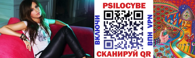 Купить где  Лесной  Псилоцибиновые грибы Magic Shrooms 