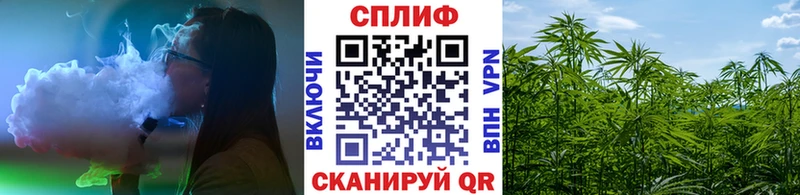 Конопля OG Kush Лесной